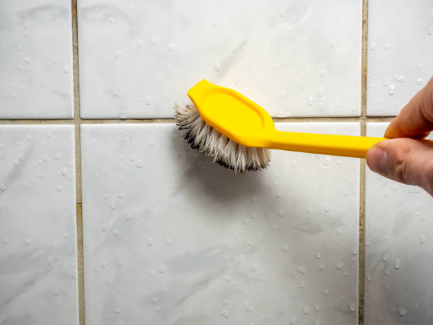 Best Home Mold Removal  in Fort Pierce, FL