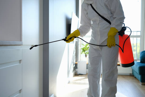 Best Certified Mold Removal  in Fort Pierce, FL