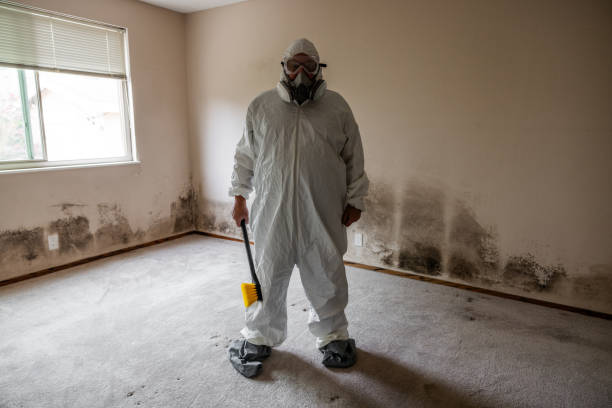 Best Fast Mold Removal  in Fort Pierce, FL